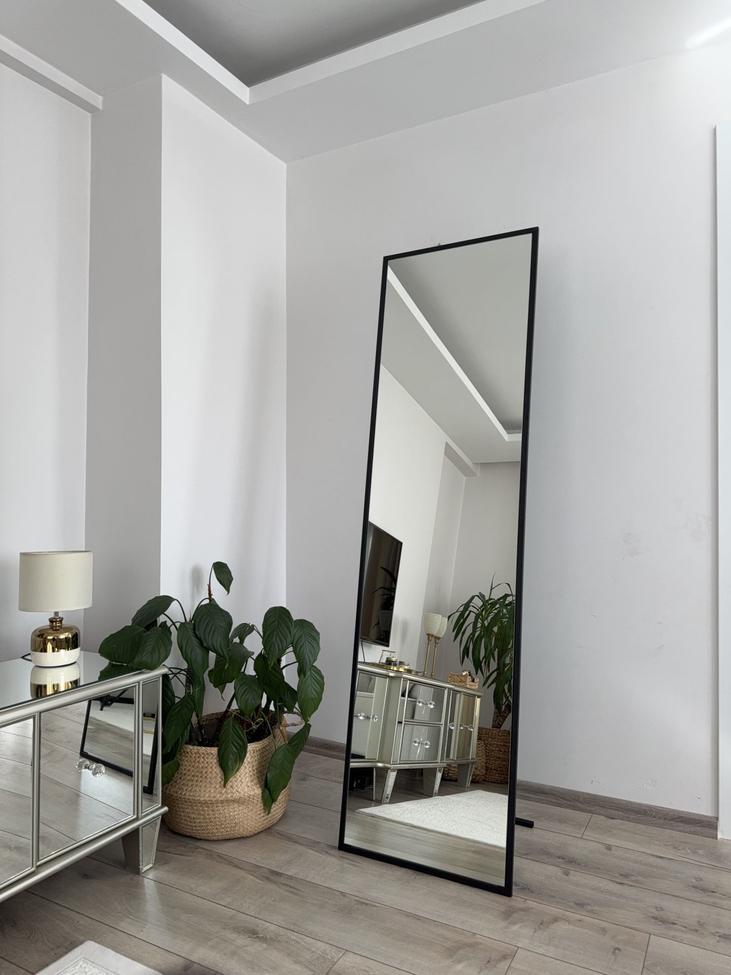 180X50 CM SİYAH DİKDÖRTGEN BOY AYNASI